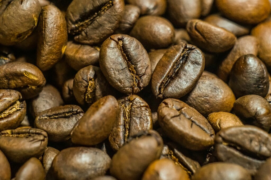Fresh coffee beans